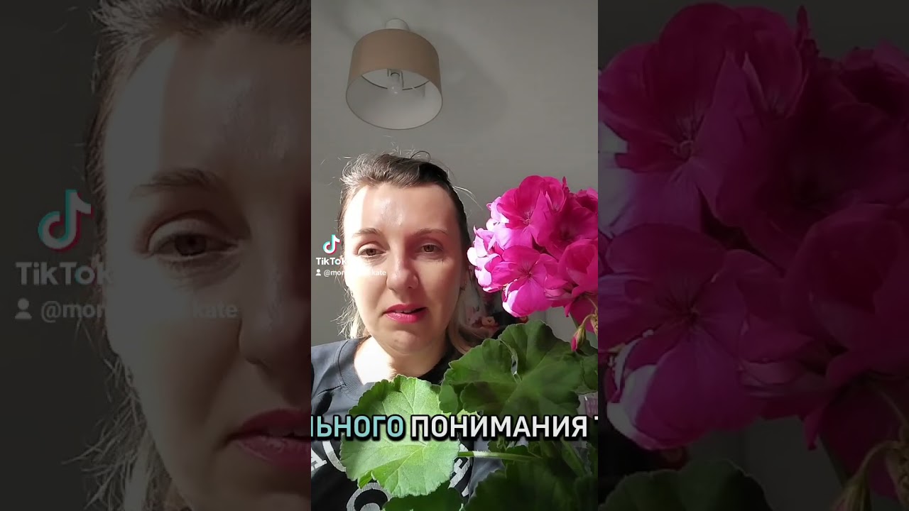 Экзамен B1 , по испанскому языку. Часть 2. Mediacion escrita. Какие задания были, как сдавать ?