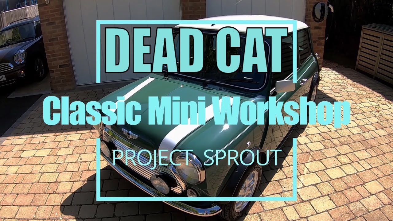 DEAD CAT & A MOKE 🐈 😮 - Classic Mini Workshop Project Sprout Broken Catalyst