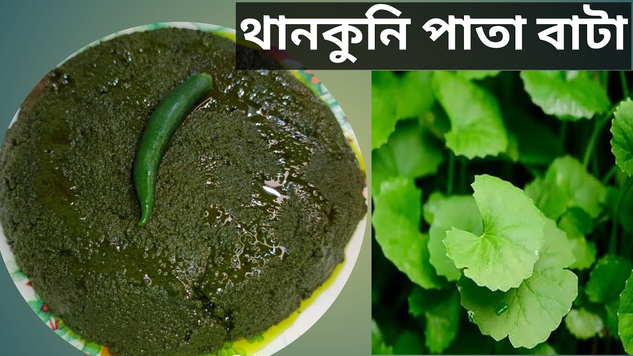 থানকুনি পাতা বাটা কি সত্যিই আপনার স্বাস্থ্যের জন্য উপকারী? | Thankuni Pata Bata | Centella Leaf