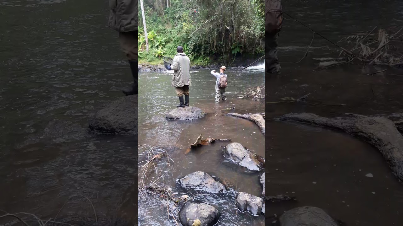 Fly Fishing the Mount Kenya Forest 6. Patrice Trudeau (Anabas River Lodge)