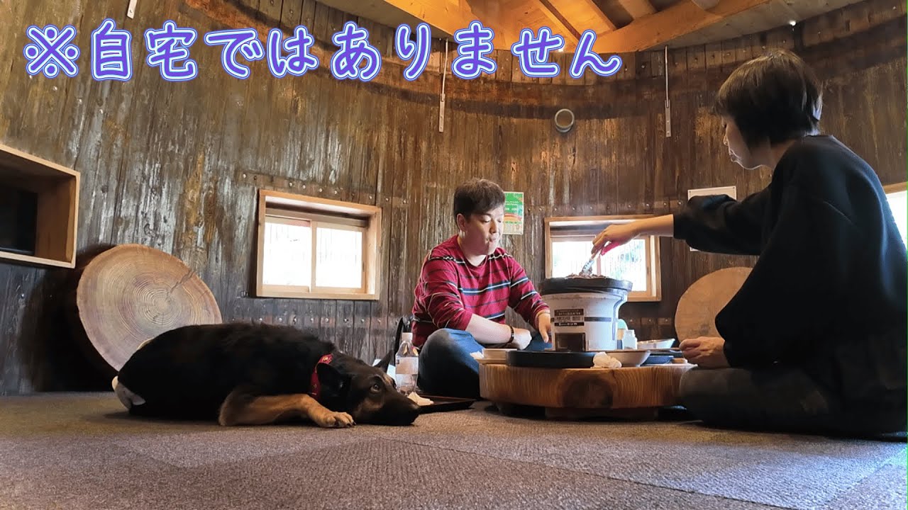 焼肉食べにきたら、おいしくて愛犬が自宅並みにくつろいじゃいましたｗ