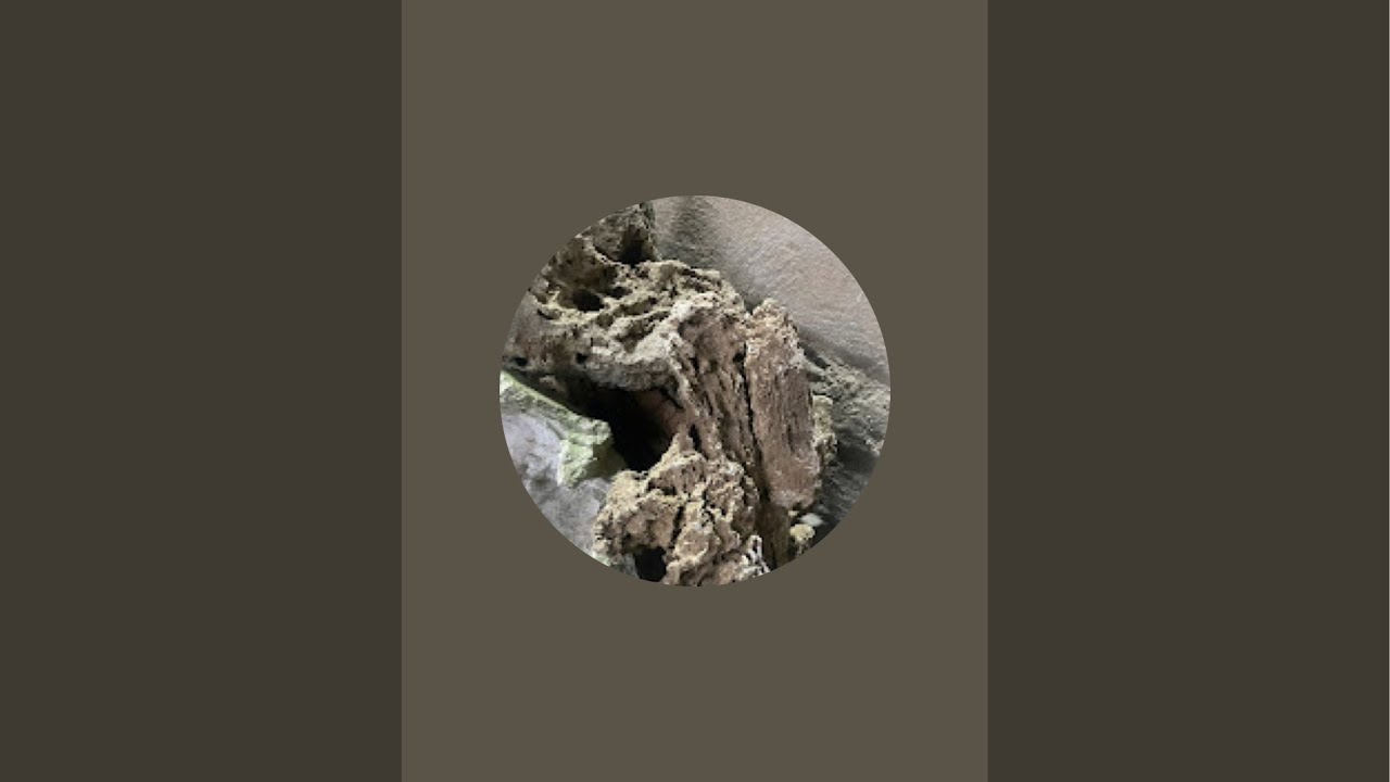 Đá Lúa Đá Cảnh Tự Nhiên đang phát trực tiếp!