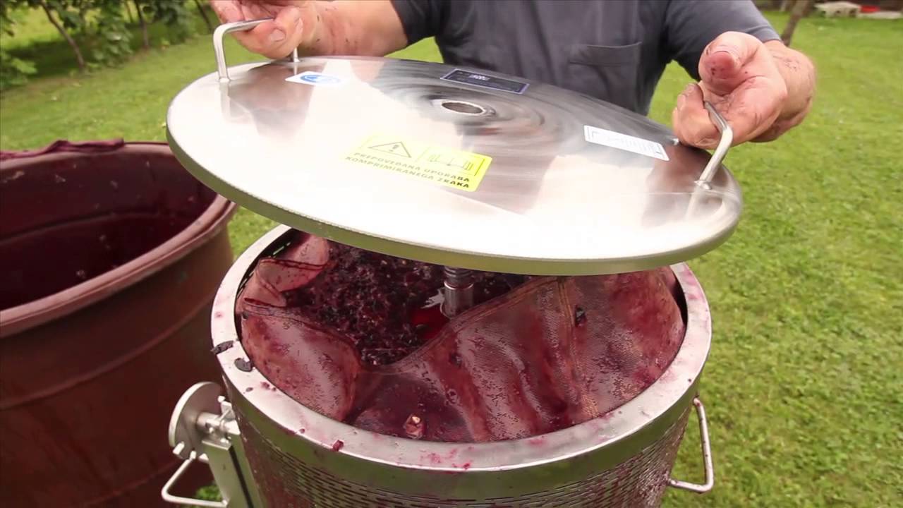 Fruit water press