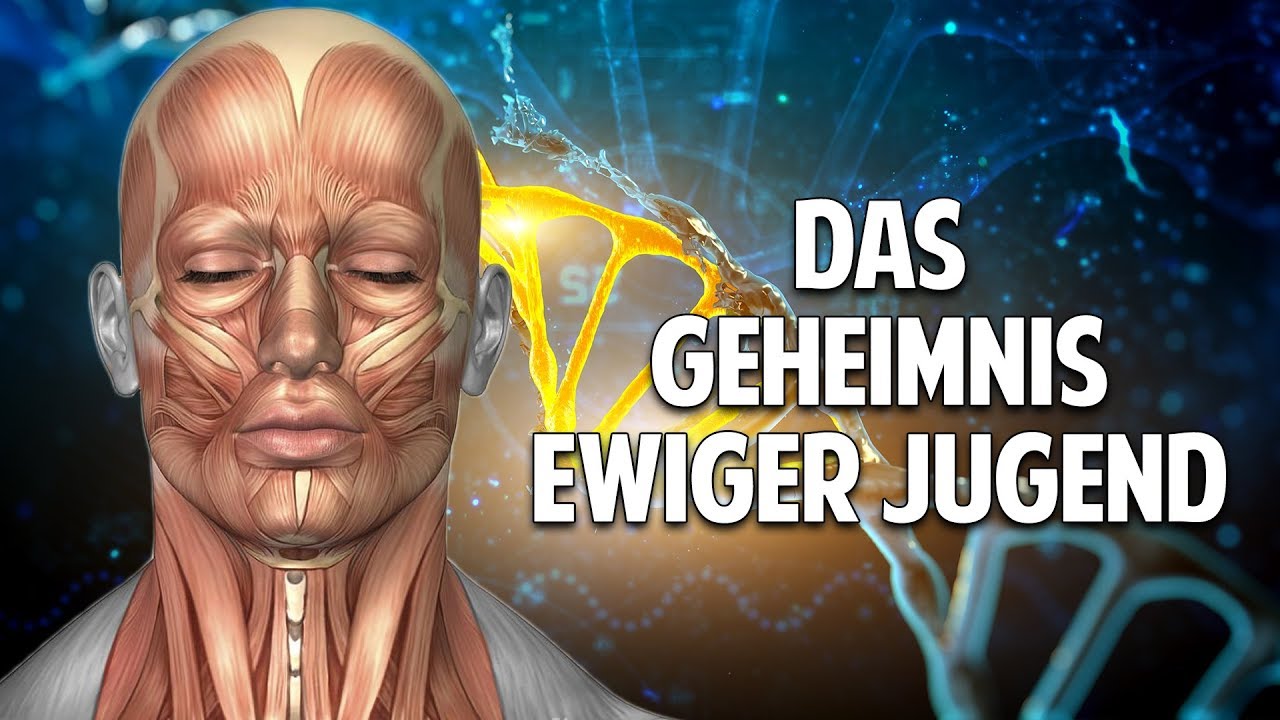Das Geheimnis ewiger Jugend: Was lässt Dich altern & was hält Dich jung - Prof. Dr. Sven Voelpel