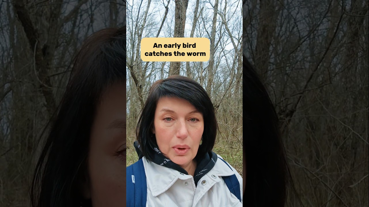 Кто рано встаёт..The early bird catches the worm #английскийдляначинающих #английскийонлайн