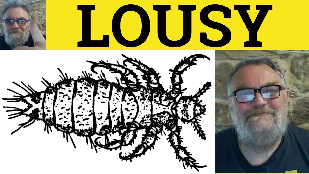 🔵 Lousy Meaning - Louse Lice Defined - Lousy Examples- Informal English - Lousy Louse Lice