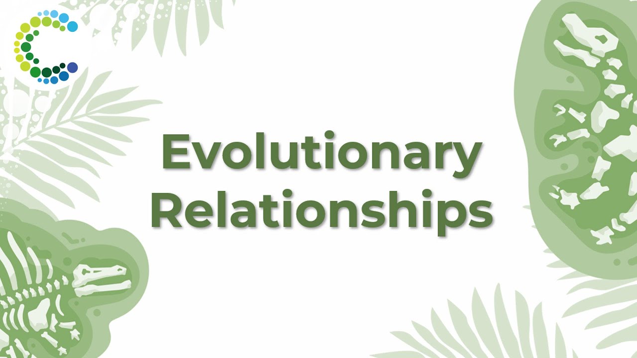Evolutionary Relationships