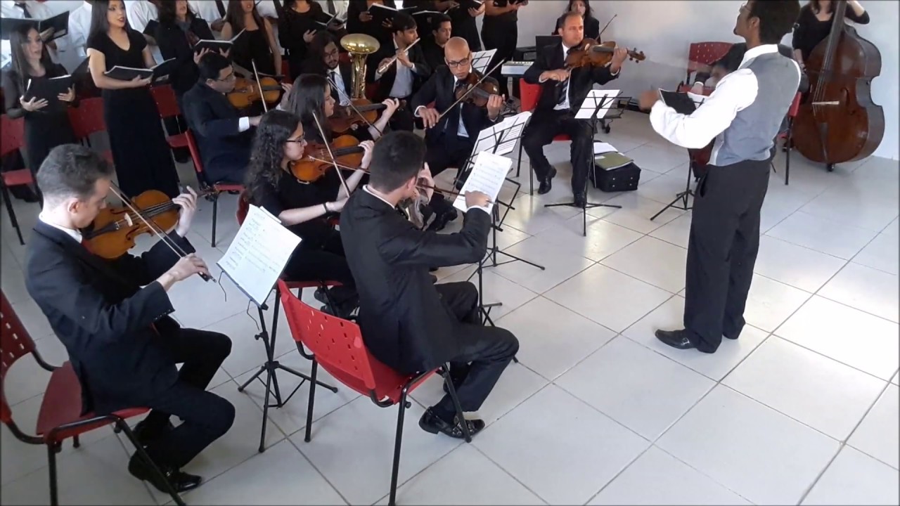Pues que ya nunca nos veis - Juan del Enzina - Coral Amadeus