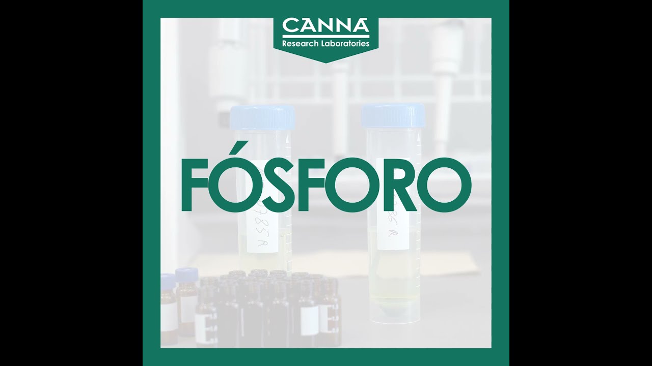 F&Oacute;SFORO - Carencia Mononutrientes - Gu&iacute;a Deficiencia
