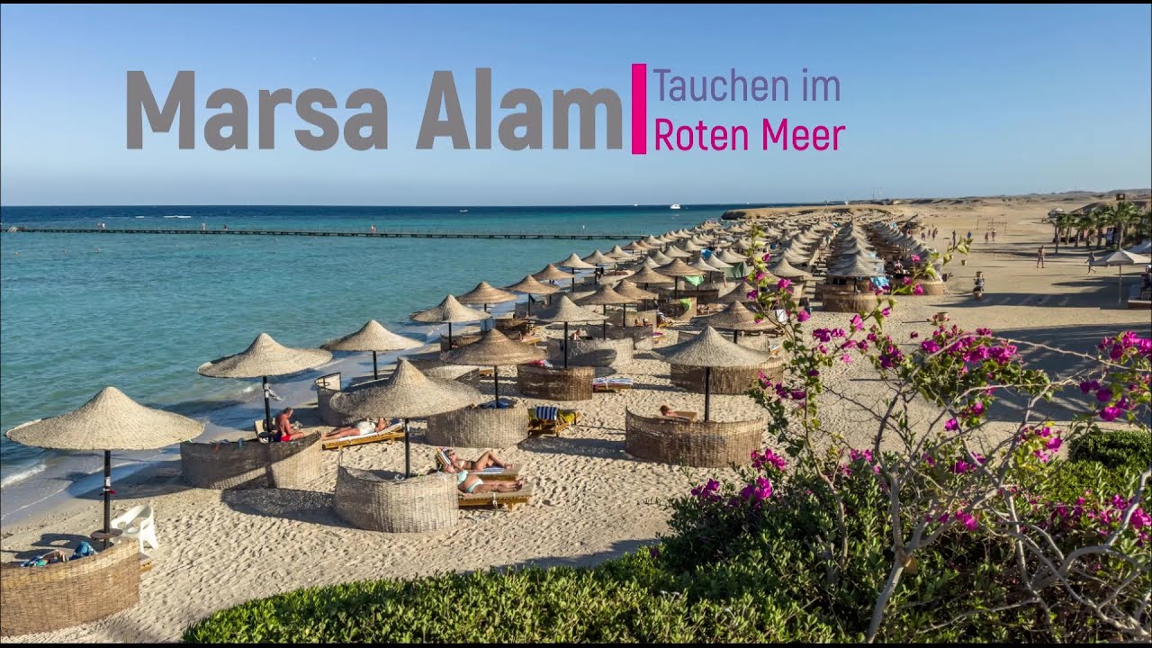 Diving Adventure Marsa Alam Nov 25