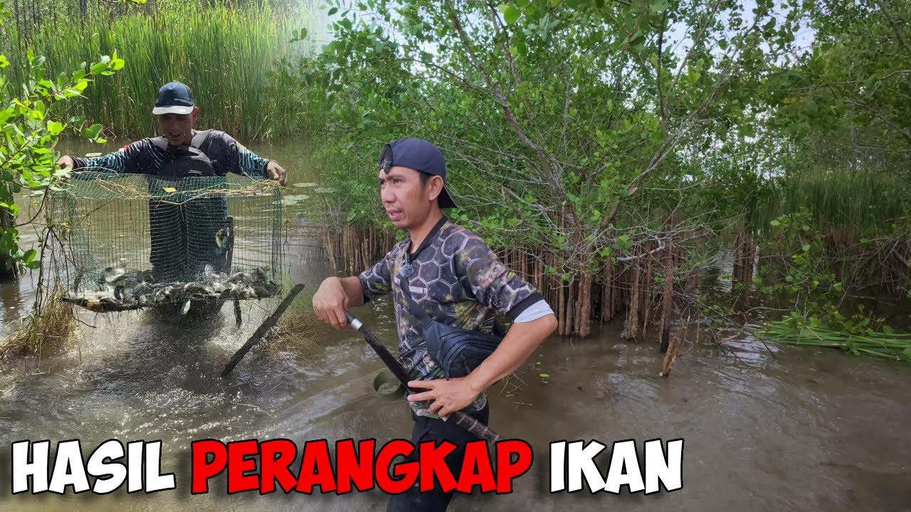 Berburu Ikan Ke Rawa Bubu Perangkap Ikan Hasilnya Mantap Jang Bersama @Mas Topan