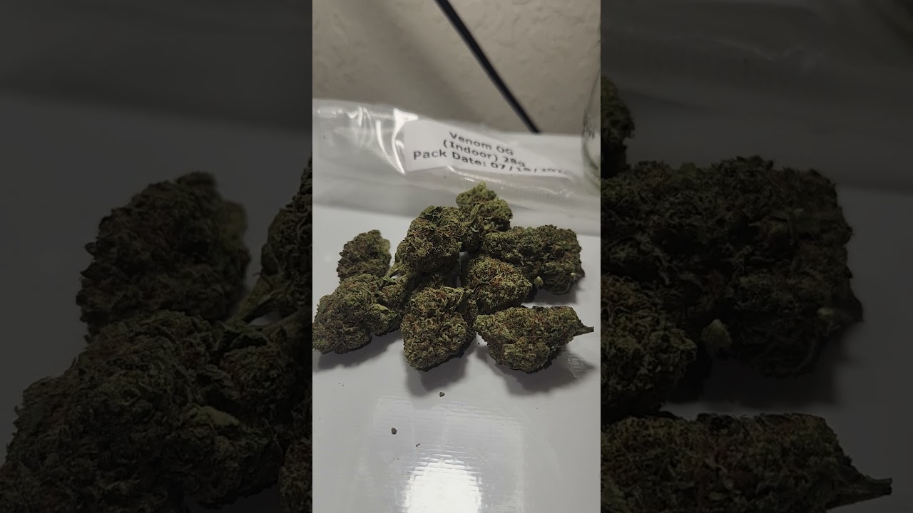 Myquin's Venom OG Strain sneak peak