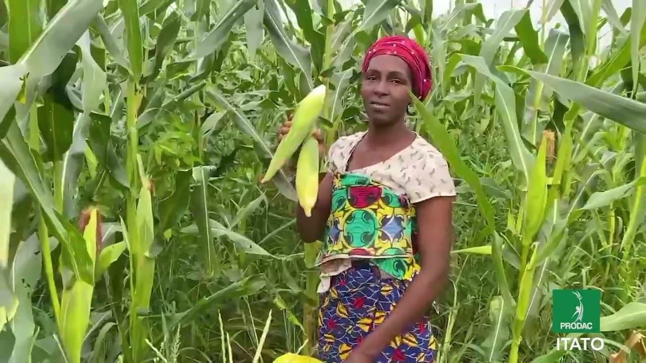 Prodac/ témoignages des coopérateurs du DAC de Itato