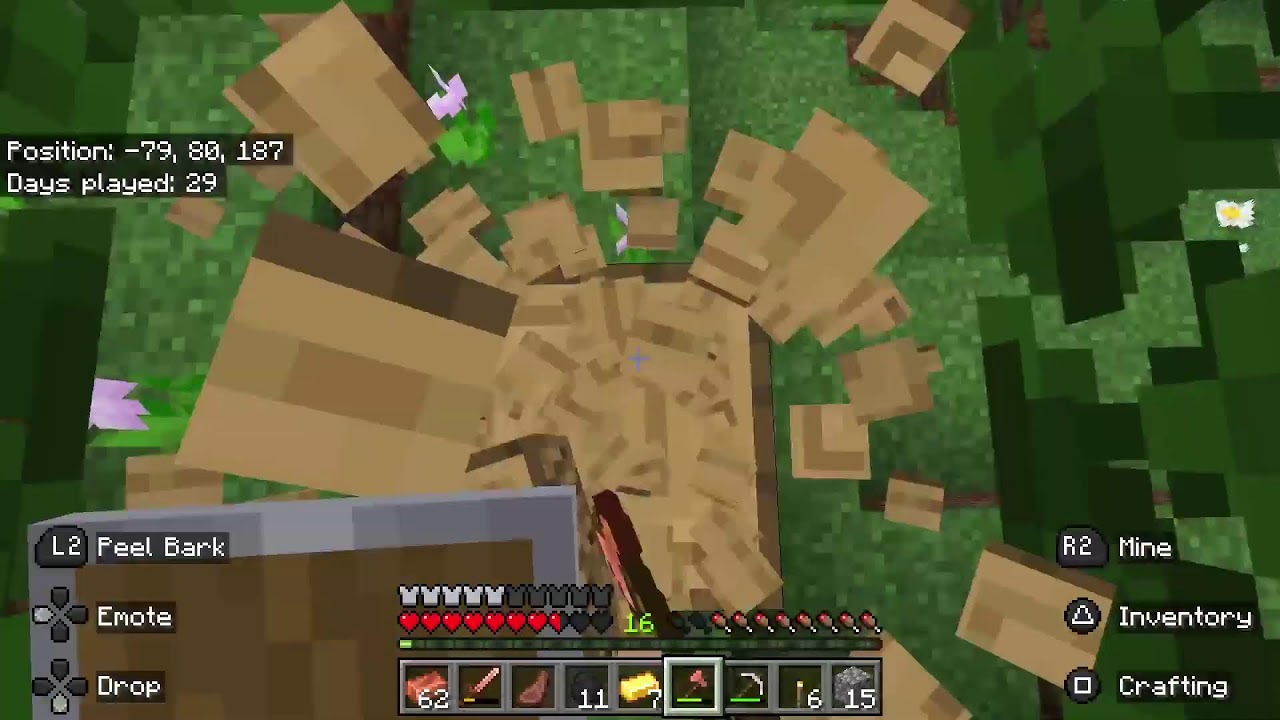 Minecraft Survival Live