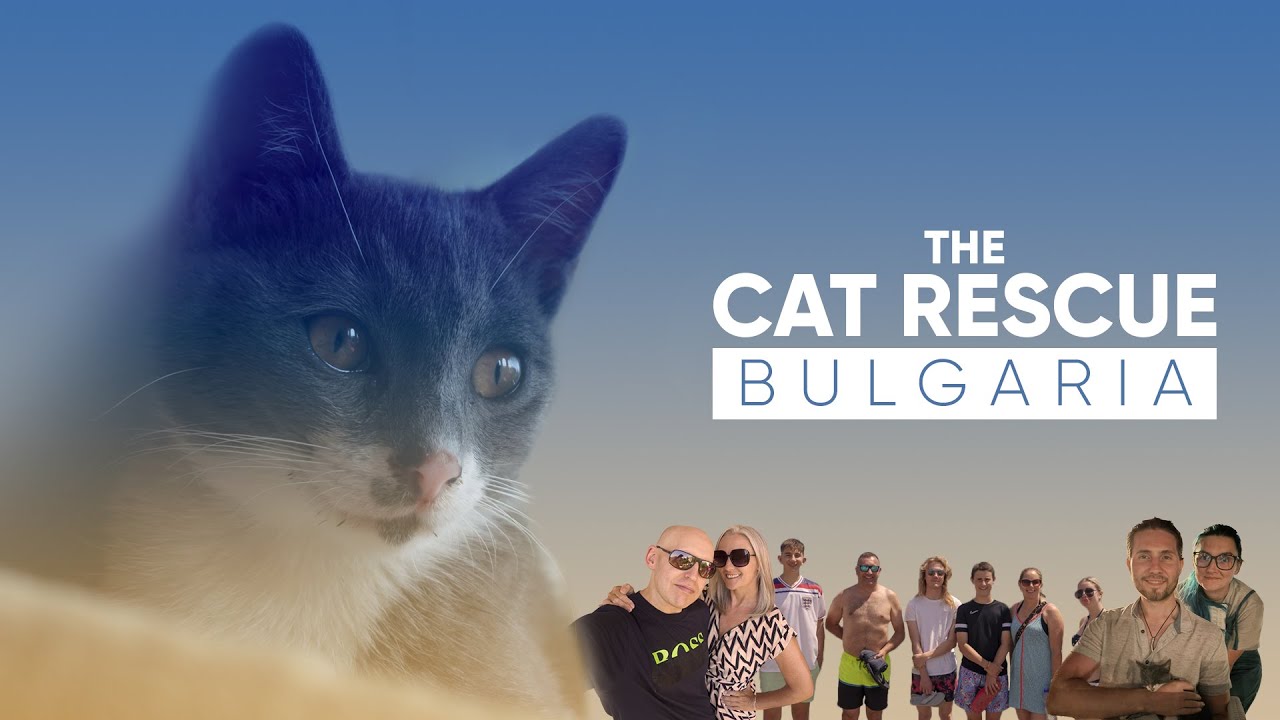 The Cat Rescue - Bulgaria
