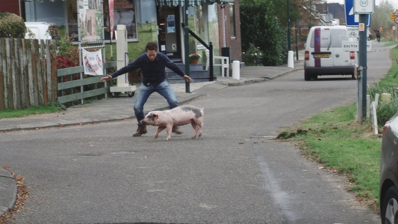 Chris op pad: varkens uitlaten