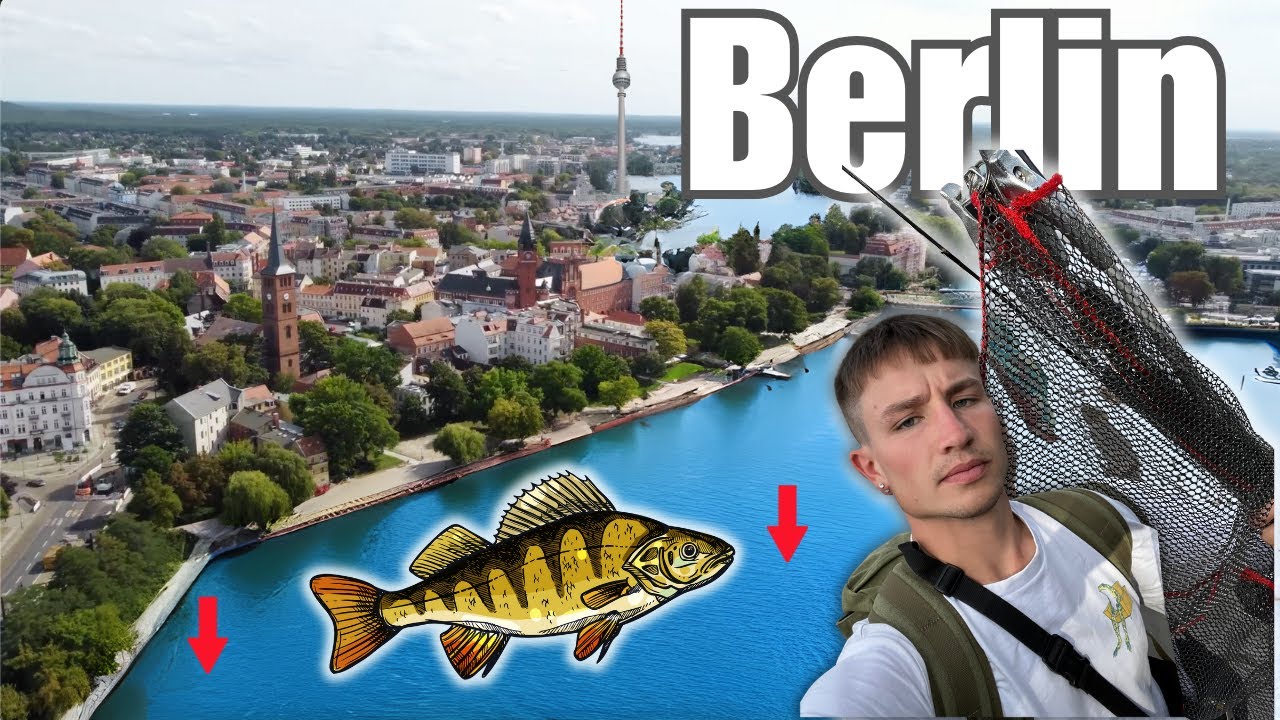 Hauptstadt-Barsche - Angeln in Berlin Köpenick 🎣🤩