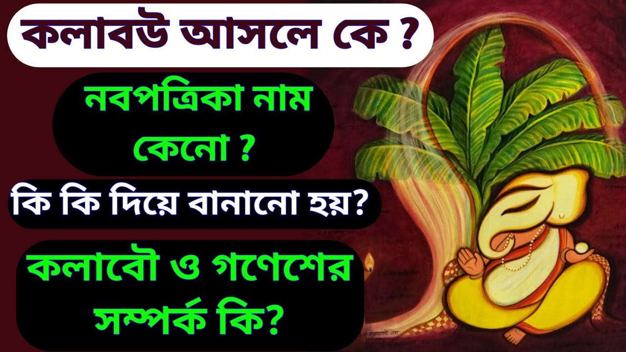 কলাবউ আসলে কে? নবপত্রিকা নাম কেন? কি কি দিয়ে বানানো হয় কলাবউ? কলাবউ ও গণেশের সম্পর্ক কি? Kola Bou