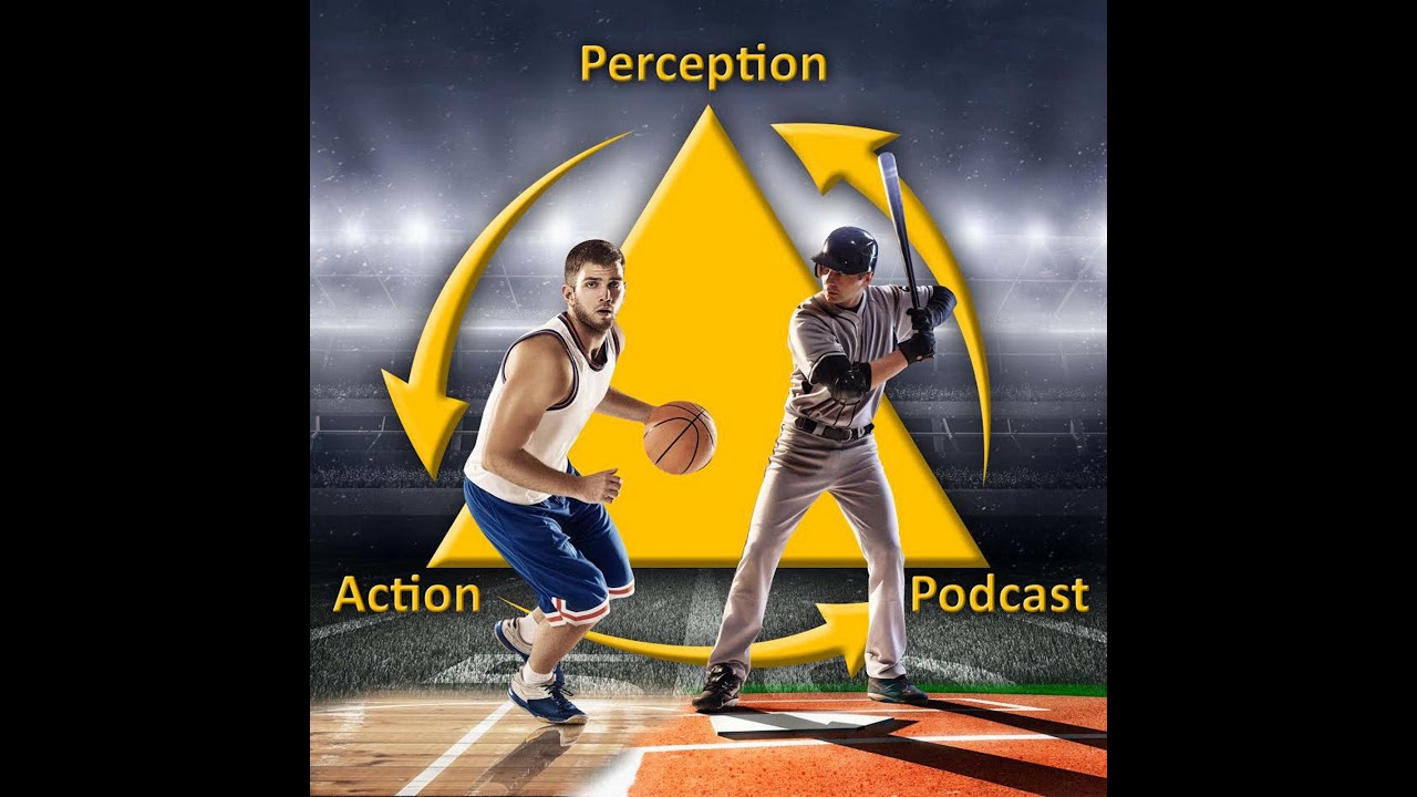 382&ndash; Online vs Offline Information VS Direct vs Indirect Perception