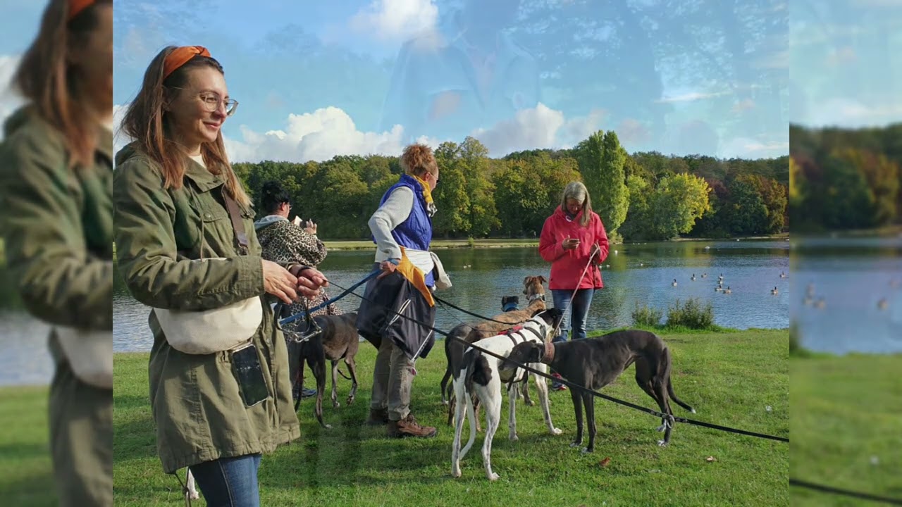 Der Great Global Greyhound Walk 2022 in Köln.