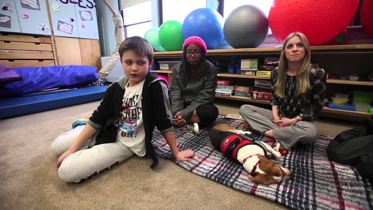 Service dogs help kids learn to read at Calais School