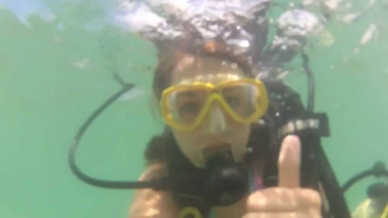 SCUBA DIVING IN BRAZIL! Travel Vlog
