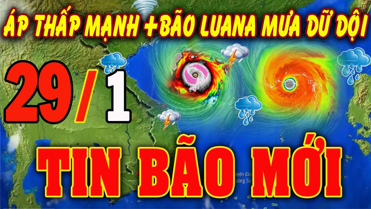 🔴[Trực Tiếp] TIN BÃO MỚI Hướng Về Miền Bắc -Trung bộ ? Dự báo thời tiết hôm nay ngày 29/1