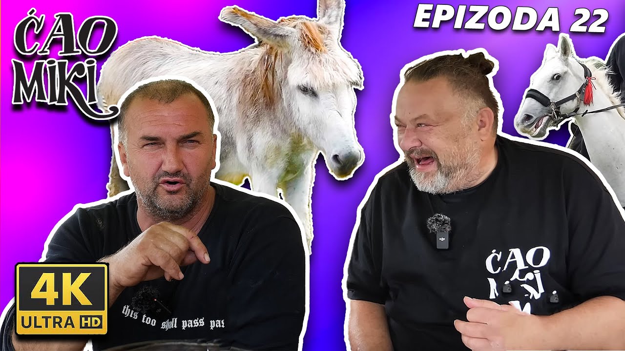 SMIJEH! Magarcu lakira nokte, vozi ga u autu i razgovara sa njim, magarac čak ima i telefon!