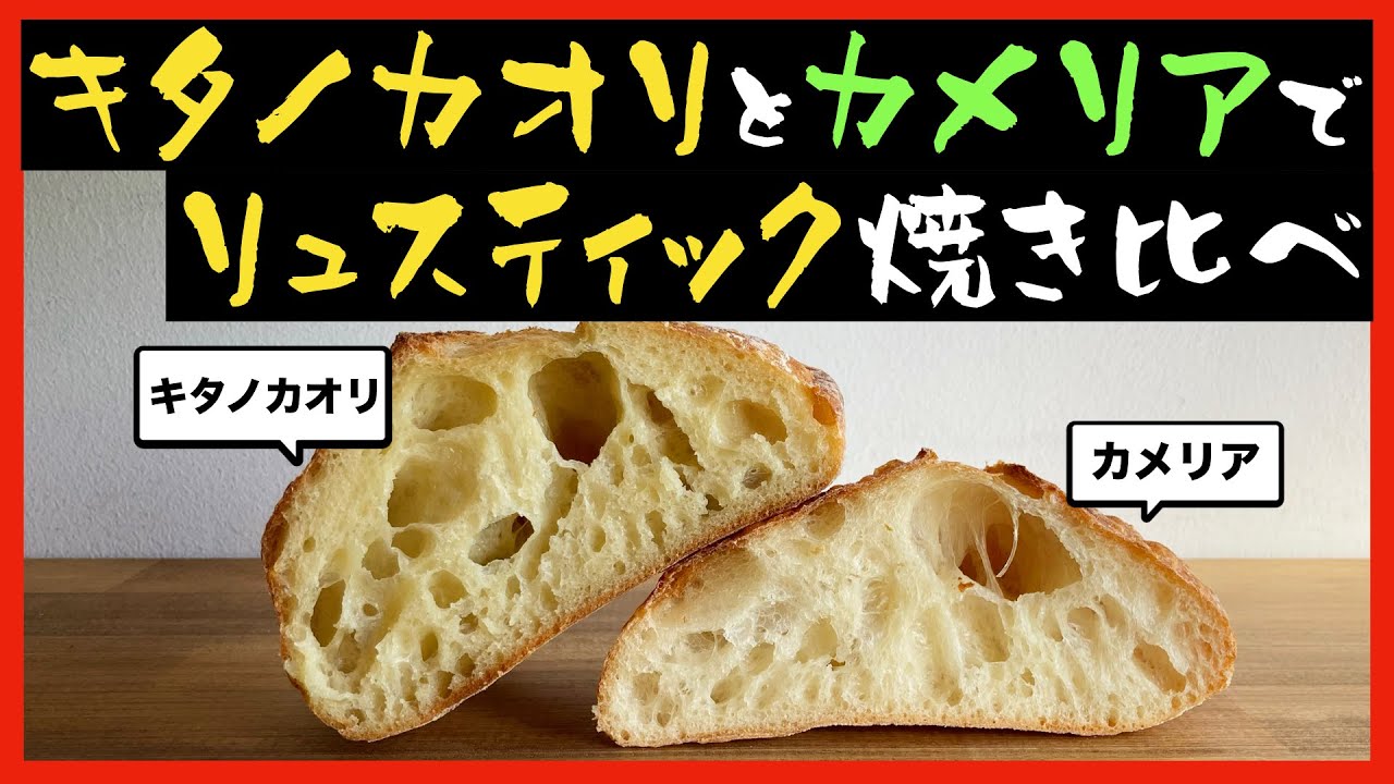 【検証】キタノカオリとカメリアを同じレシピで焼き比べてみた