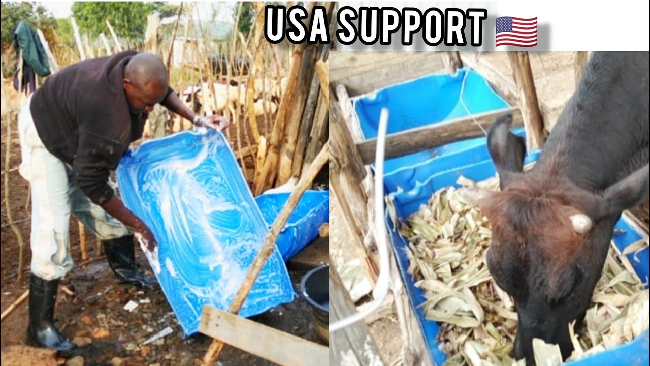 A Subscriber From the USA Helped Me Build This Cow Trough 🇺🇸 | Village Life Kenya