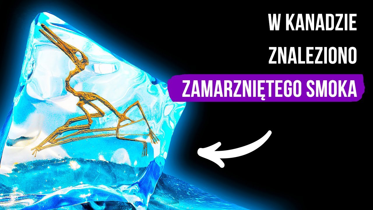 &bdquo;Zamarznięty smok&rdquo;, kt&oacute;ry tkwił w lodzie przez 76 milion&oacute;w lat