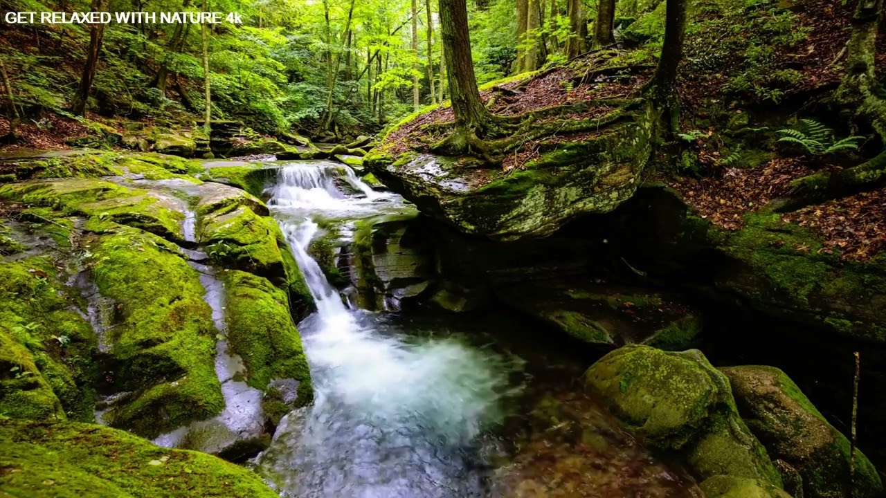 4K Big Timber Creek Sunset Ambience | Crazy Mountains | ASMR Forest River Nature Sounds for Sleeping