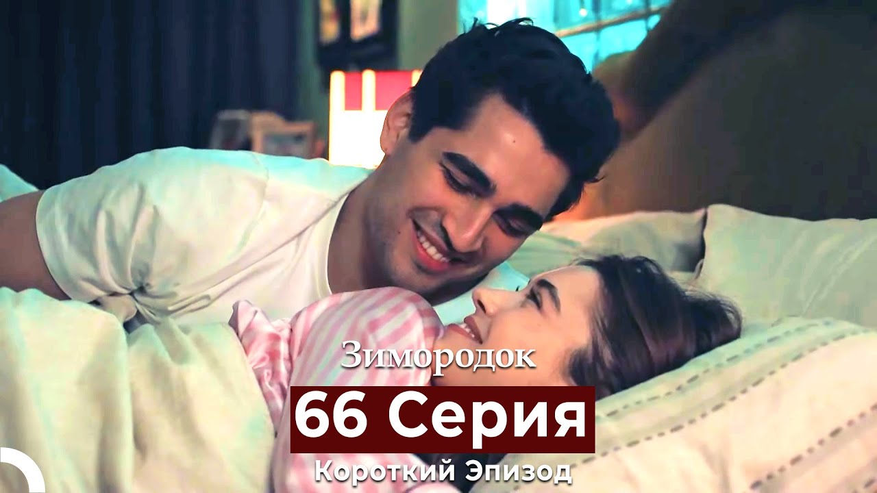 Зимородок 66 Cерия (Короткий Эпизод) (Русский дубляж)