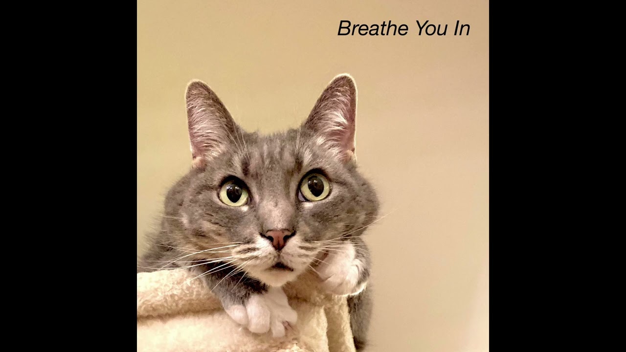 Breathe You In (Instrumental)