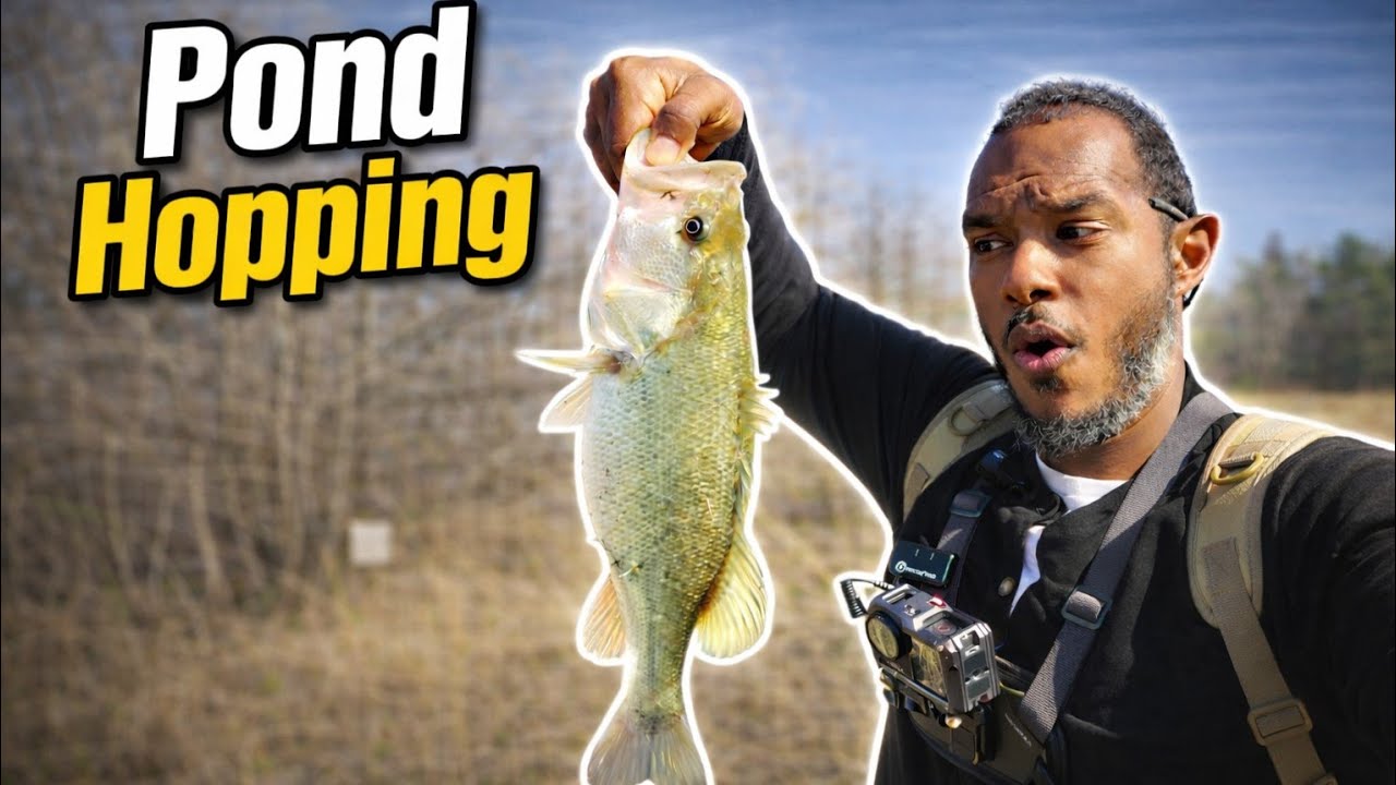 Houston Pond Hopping | Hidden Bass Everywhere