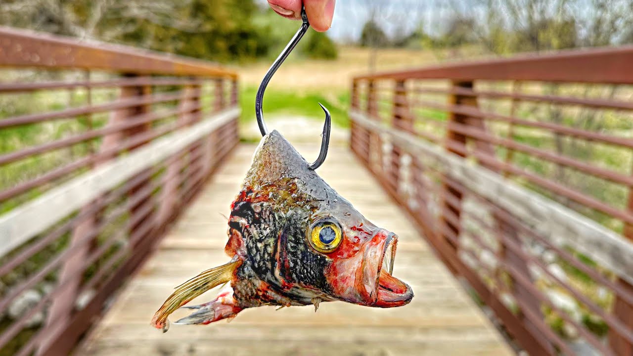 Dropping A CRAPPIE HEAD Off A Backwoods Bridge!!! (IT WORKED)