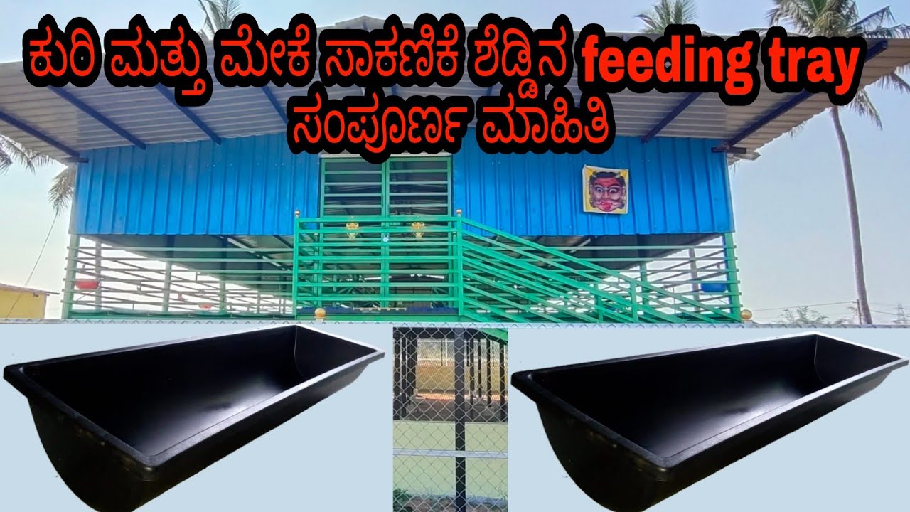 #hightech#goat& sheep#farmshed feeding tray.