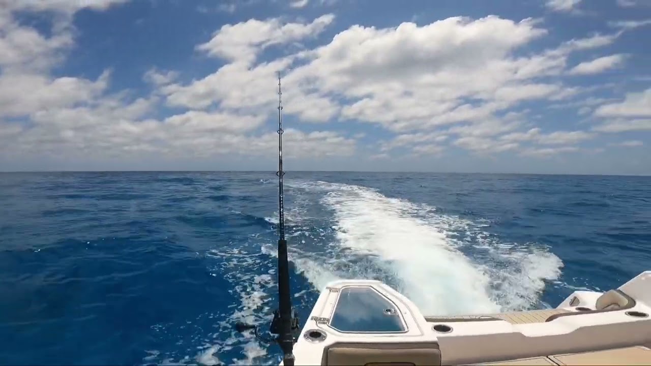 South Florida Yamaha FSH 255