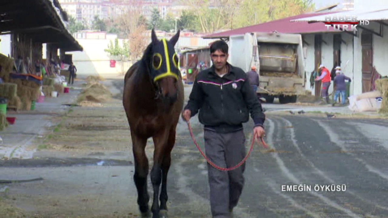 Emeğin Öyküsü - 14 Ocak 2017 (Atların Dünyası)
