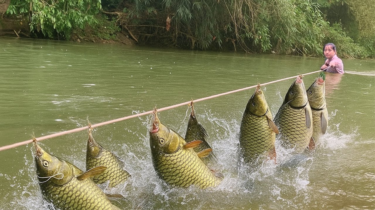 Traditional Fishing Skills: Single Mom Catches Giant Carp and Catfish Using Ancient Methods