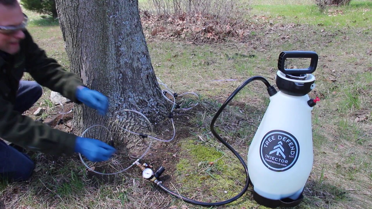 TREE DEFEND • Tree Injector Instruction Video