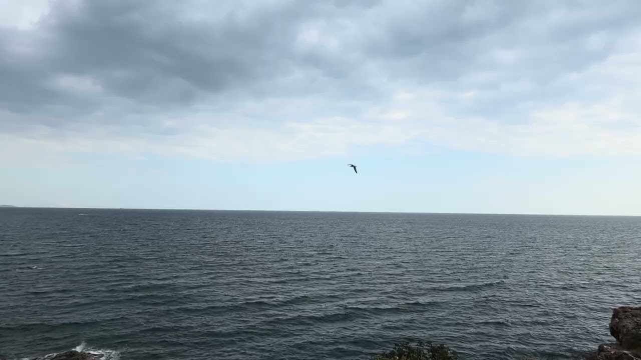 Calm Sea Waves Under Cloudy Sky (NO MUSIC) 🌊 8 Hours Relaxing Sea Sounds for Sleep