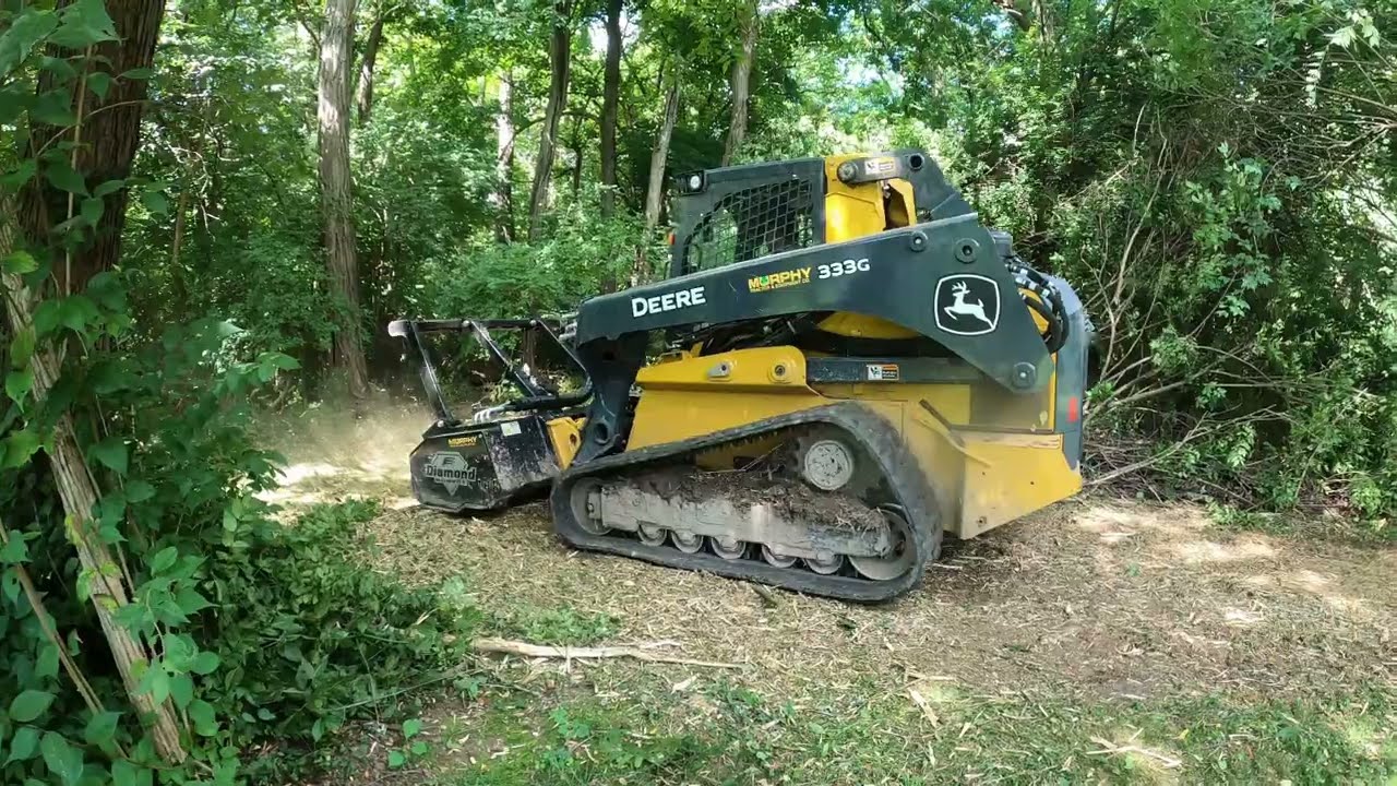 Front Yard Clean Up with the Forestry Mulcher
