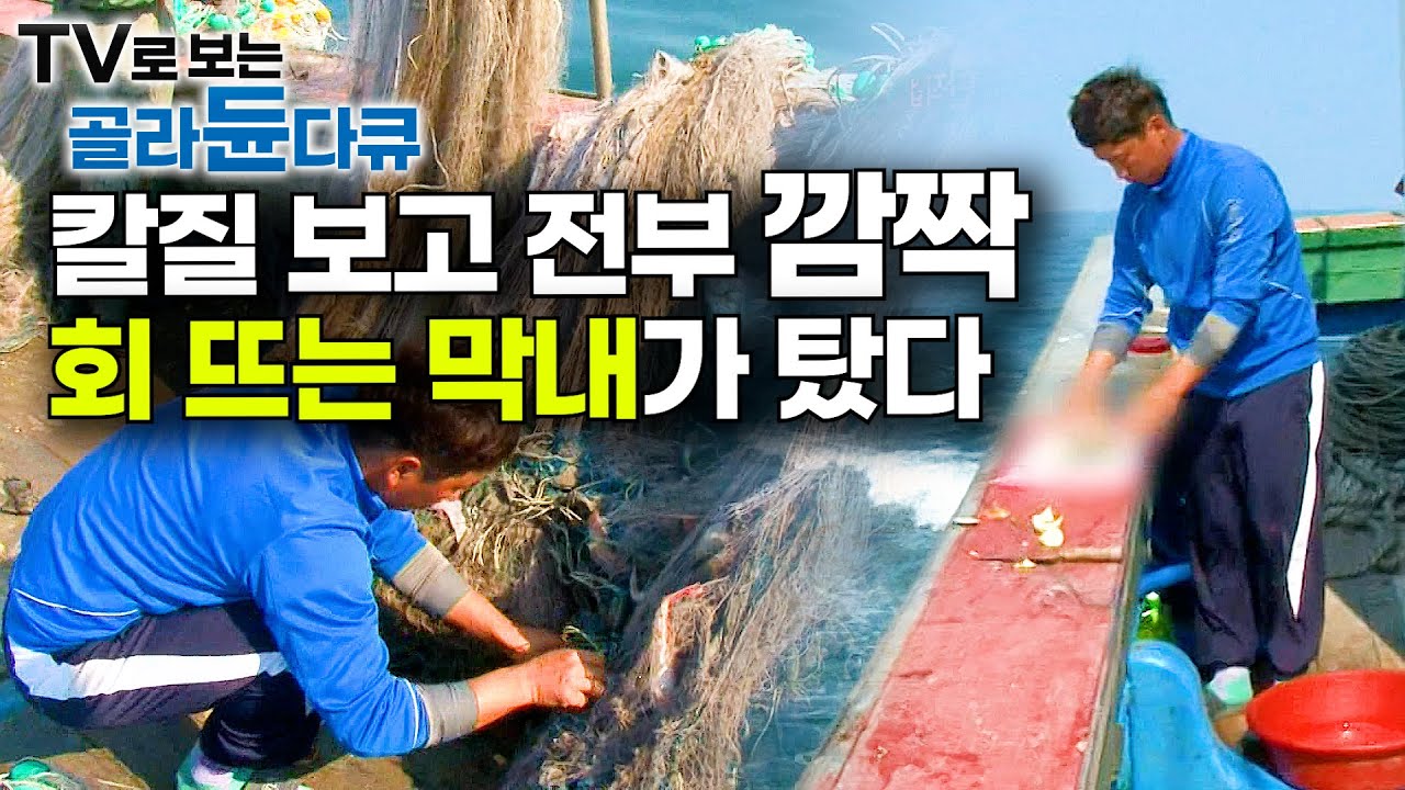형님들 일할 때 혼자 그물에서 횟감 찾더니 회 썰러 들어가는 막내 등장에 선장님 반응┃만선 대하잡이 선상만찬┃극한직업┃#골라듄다큐