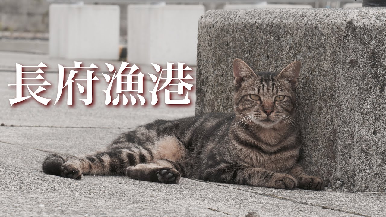 【下関市】長府漁港【2021年9月】