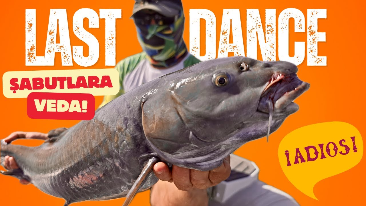 ''Last Dance''    Şabutlara Veda