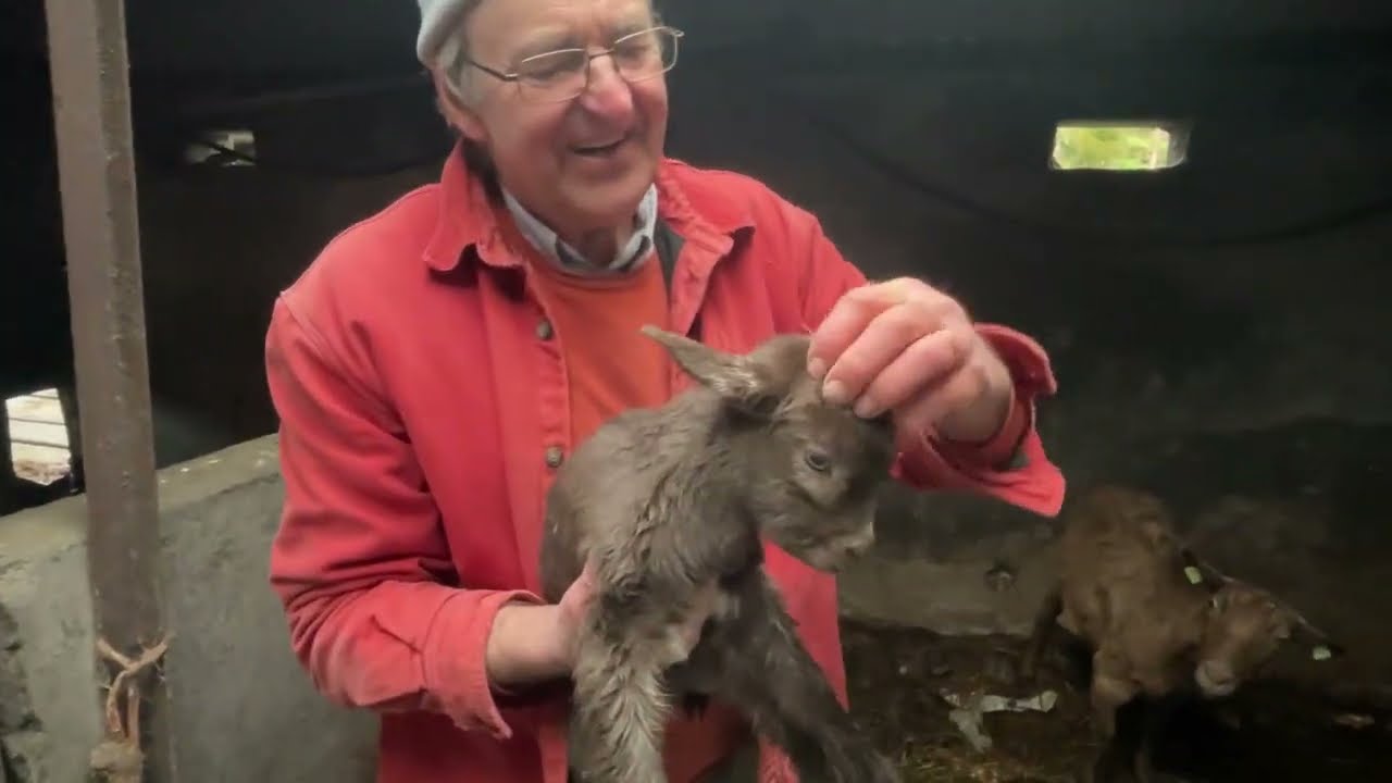 A day with an Irish Farmer - David Ross | Ireland | India | தமிழ் | English| Farming | Documentary |