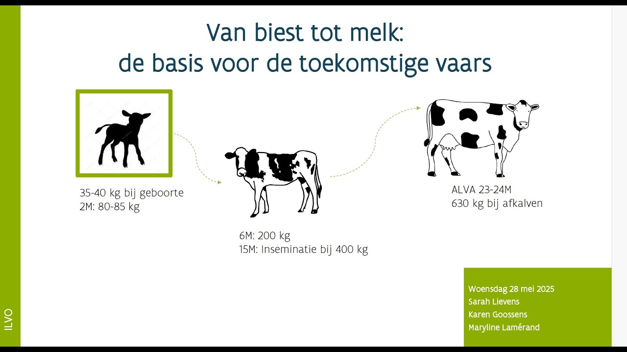 RefWel webinar kalveropfok - Biest & Voeder - Van biest tot melk: de basis voor de toekomstige vaars