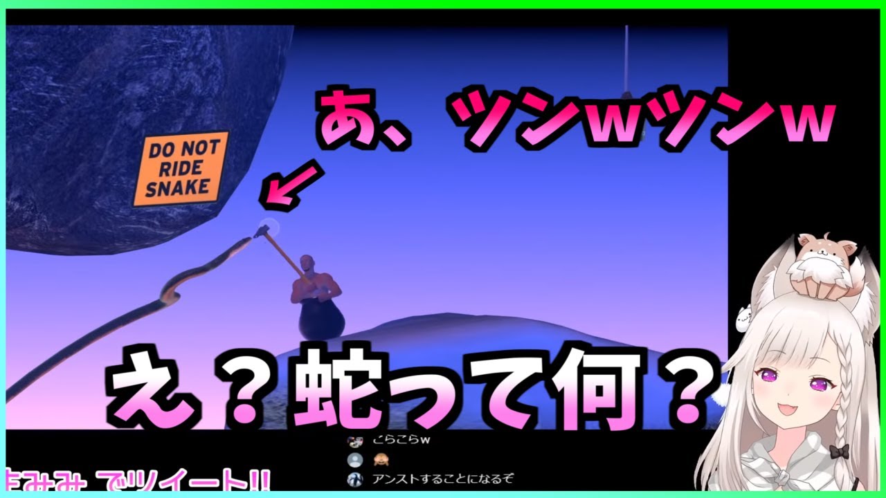 【白宮みみ】蛇にちょっかいを出そうとするもリスナーに止められる白宮【774 inc.切り抜き】