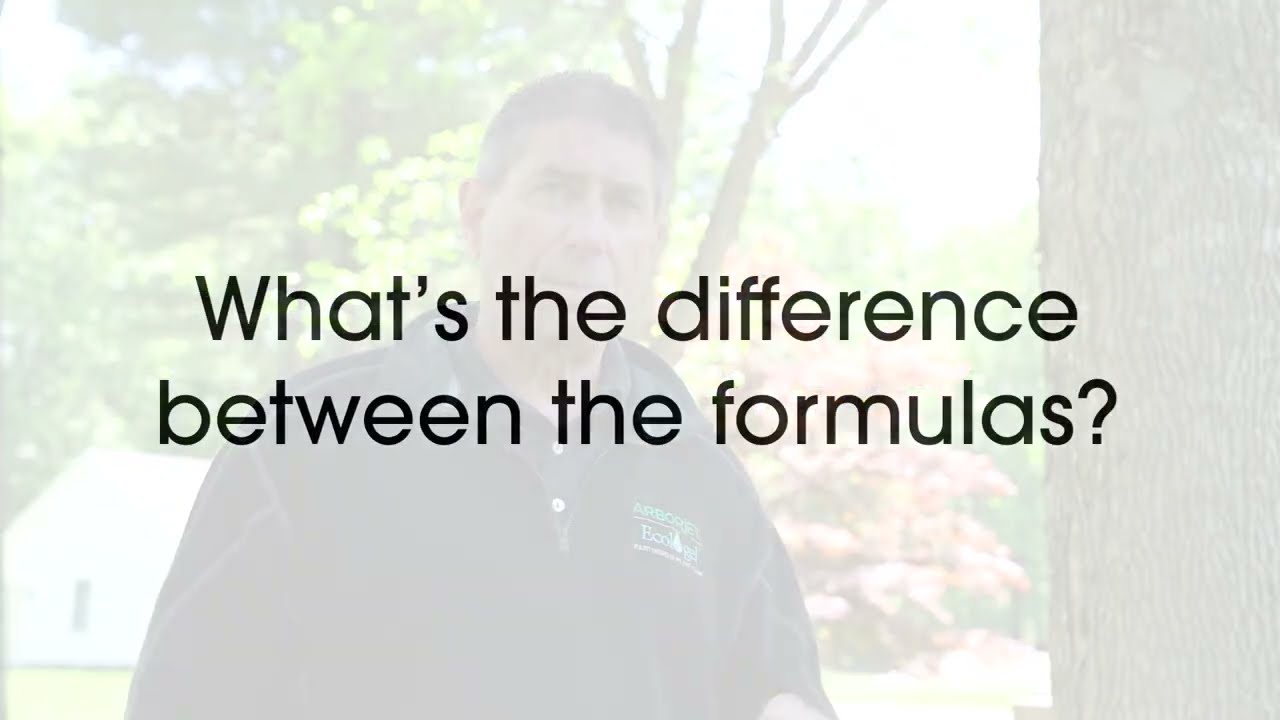 R10 vs G4 Tree Injection Comparison